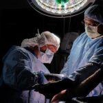 The Role Of Primary Care Providers In Health Disparity Reduction