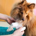 The Role Of Pain Management Specialists In Treating Fibromyalgia
